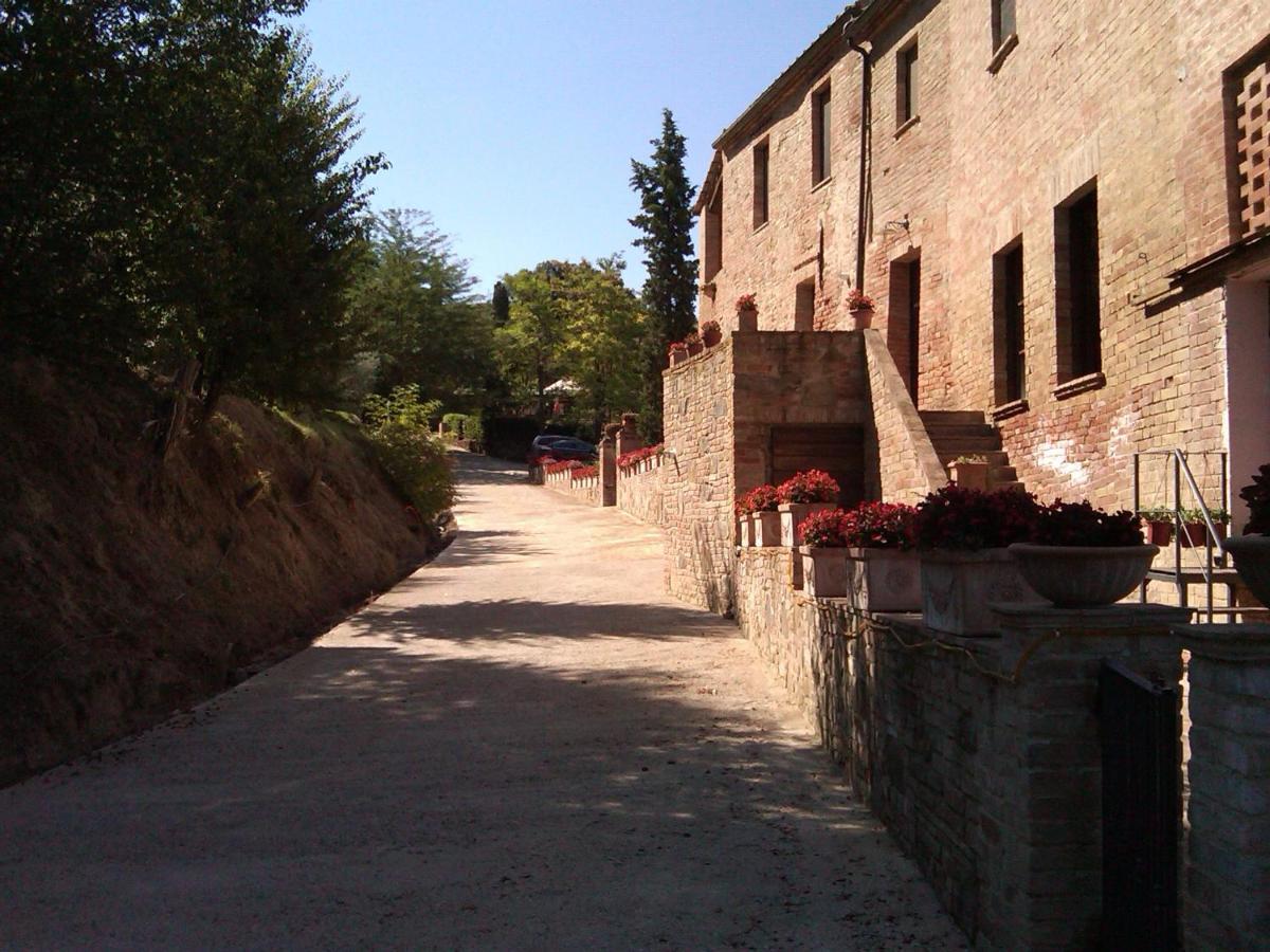 Agriturismo S. Eurosia Montalcino Kültér fotó